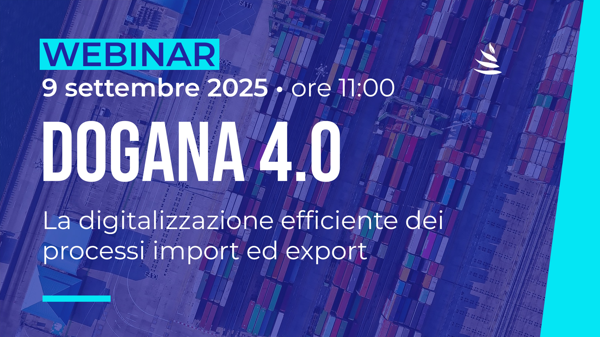 webinar dogana40